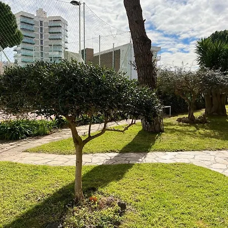 Apartment Oriol Center *